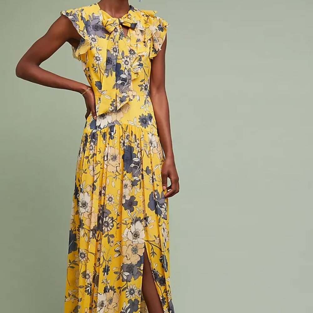 ML Monique Lhuillier Fiorina Maxi Dress